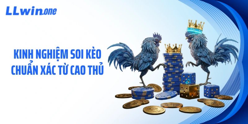 Kinh nghiệm soi kèo chuẩn xác từ cao thủ
