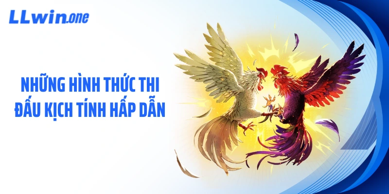 Những hình thức thi đấu kịch tính hấp dẫn