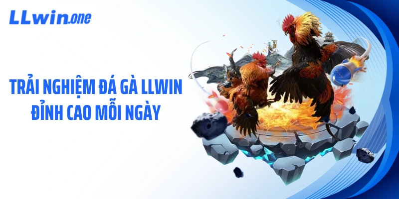 Trải nghiệm đá gà LLWIN đỉnh cao mỗi ngày